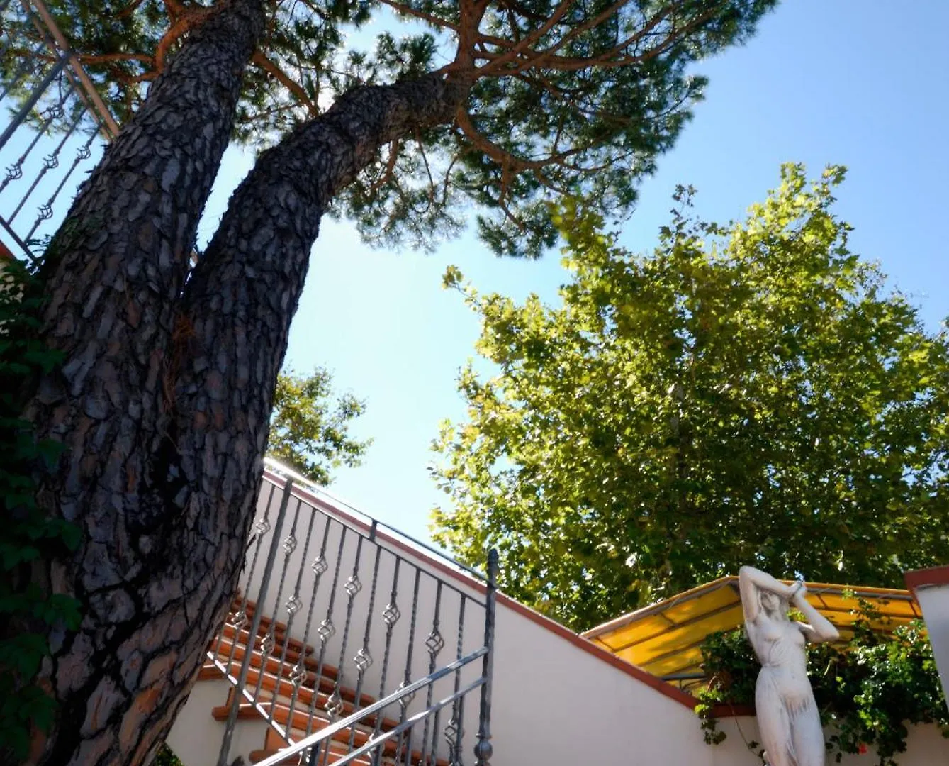 Hotel Villa Dei Fiori - Sul Mare Con Piscina Viserbella di Rimini